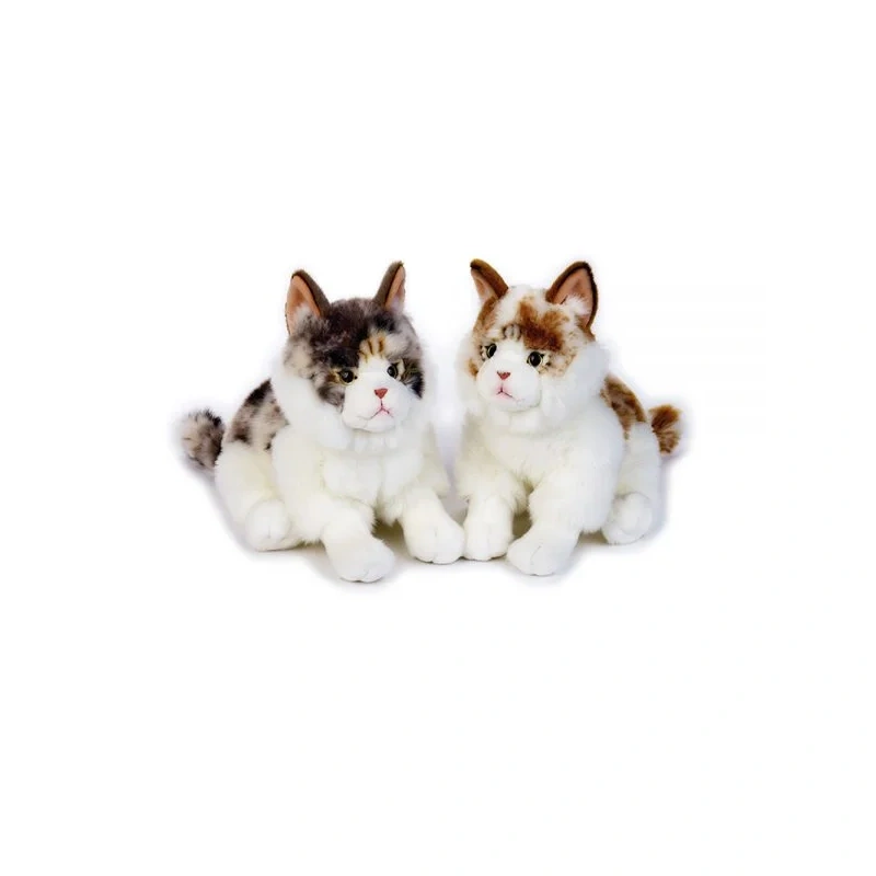 pehmed-kassid-buffy-gatto-norvegese.webp